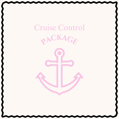 Cruise Control Package